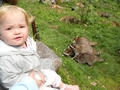 Beeldnr : 13 van 96
Naam : aji02b02g.jpg
Folder : fotos/jaren-201x/2010-2/esmee/sep/
Formaat : 800 x 600px
Thumb : 120 x 90px
Richting : Landschap
Bloknr : 1 van 2
Beeldnrs : 1 tm 50
Beelden in blok : 50