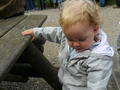 Beeldnr : 51 van 96
Naam : jji02b14g.jpg
Folder : fotos/jaren-201x/2010-2/esmee/sep/
Formaat : 800 x 600px
Thumb : 120 x 90px
Richting : Landschap
Bloknr : 2 van 2
Beeldnrs : 51 tm 96
Beelden in blok : 46