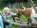 Beeldnr : 96 van 96
Naam : jji18d64g.jpg
Folder : fotos/jaren-201x/2010-2/esmee/sep/
Formaat : 800 x 600px
Thumb : 120 x 90px
Richting : Landschap
Bloknr : 2 van 2
Beeldnrs : 51 tm 96
Beelden in blok : 46
