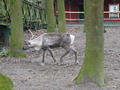 Beeldnr : 29 van 97
Naam : jjk19b36.jpg
Folder : fotos/jaren-201x/2010-2/ouwehands-rhenen/19-nov/
Formaat : 800 x 600px
Thumb : 120 x 90px
Richting : Landschap
Bloknr : 1 van 2
Beeldnrs : 1 tm 50
Beelden in blok : 50
