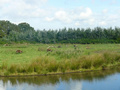 Beeldnr : 28 van 89
Naam : jji18b62.jpg
Folder : fotos/jaren-201x/2010-2/zoo-parc-overloon/18-sep/
Formaat : 800 x 600px
Thumb : 120 x 90px
Richting : Landschap
Bloknr : 1 van 2
Beeldnrs : 1 tm 50
Beelden in blok : 50