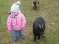 Beeldnr : 6 van 20
Naam : aka30a32.jpg
Folder : fotos/jaren-201x/2011-2/esmee/jan/
Formaat : 800 x 600px
Thumb : 120 x 90px
Richting : Landschap
Bloknr : 1 van 1
Beeldnrs : 1 tm 20
Beelden in blok : 20
