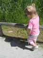 Beeldnr : 6 van 35
Naam : akf02a29.jpg
Folder : fotos/jaren-201x/2011-2/esmee/juni/
Formaat : 600 x 800px
Thumb : 90 x 120px
Richting : Portret
Bloknr : 1 van 1
Beeldnrs : 1 tm 35
Beelden in blok : 35