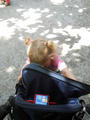 Beeldnr : 18 van 35
Naam : akf02a84.jpg
Folder : fotos/jaren-201x/2011-2/esmee/juni/
Formaat : 600 x 800px
Thumb : 90 x 120px
Richting : Portret
Bloknr : 1 van 1
Beeldnrs : 1 tm 35
Beelden in blok : 35