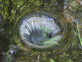 Beeldnr : 53 van 100
Naam : ake05b75.jpg
Folder : fotos/jaren-201x/2011-2/noord-nederland/5-mei/
Formaat : 800 x 600px
Thumb : 120 x 90px
Richting : Landschap
Bloknr : 2 van 2
Beeldnrs : 51 tm 100
Beelden in blok : 50