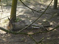 Beeldnr : 57 van 100
Naam : ake05b84.jpg
Folder : fotos/jaren-201x/2011-2/noord-nederland/5-mei/
Formaat : 800 x 600px
Thumb : 120 x 90px
Richting : Landschap
Bloknr : 2 van 2
Beeldnrs : 51 tm 100
Beelden in blok : 50