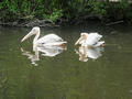 Beeldnr : 72 van 100
Naam : ake05c07.jpg
Folder : fotos/jaren-201x/2011-2/noord-nederland/5-mei/
Formaat : 800 x 600px
Thumb : 120 x 90px
Richting : Landschap
Bloknr : 2 van 2
Beeldnrs : 51 tm 100
Beelden in blok : 50