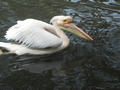Beeldnr : 73 van 100
Naam : ake05c12.jpg
Folder : fotos/jaren-201x/2011-2/noord-nederland/5-mei/
Formaat : 800 x 600px
Thumb : 120 x 90px
Richting : Landschap
Bloknr : 2 van 2
Beeldnrs : 51 tm 100
Beelden in blok : 50
