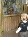 Beeldnr : 45 van 64
Naam : ake06b46.jpg
Folder : fotos/jaren-201x/2011-2/noord-nederland/6-mei/
Formaat : 600 x 800px
Thumb : 90 x 120px
Richting : Portret
Bloknr : 1 van 2
Beeldnrs : 1 tm 50
Beelden in blok : 50