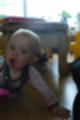 Beeldnr : 4 van 110
Naam : qc7e9545.jpg
Folder : fotos/jaren-201x/2012-2/lisa/juli/
Formaat : 680 x 1024px
Thumb : 80 x 120px
Richting : Portret
Bloknr : 1 van 3
Beeldnrs : 1 tm 50
Beelden in blok : 50