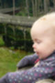 Beeldnr : 94 van 110
Naam : qc7t9900.jpg
Folder : fotos/jaren-201x/2012-2/lisa/juli/
Formaat : 680 x 1024px
Thumb : 80 x 120px
Richting : Portret
Bloknr : 2 van 3
Beeldnrs : 51 tm 100
Beelden in blok : 50