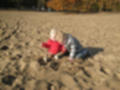 Beeldnr : 16 van 28
Naam : qcbb0314.jpg
Folder : fotos/jaren-201x/2012-2/lisa/nov/
Formaat : 1024 x 768px
Thumb : 120 x 90px
Richting : Landschap
Bloknr : 1 van 1
Beeldnrs : 1 tm 28
Beelden in blok : 28
