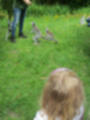Beeldnr : 6 van 13
Naam : anfo4459.jpg
Folder : fotos/jaren-201x/2014-2/zoo-parc-overloon/15-juni/
Formaat : 600 x 800px
Thumb : 90 x 120px
Richting : Portret
Bloknr : 1 van 1
Beeldnrs : 1 tm 13
Beelden in blok : 13