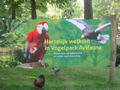 Beeldnr : 2 van 169
Naam : apij_a89.jpg
Folder : fotos/jaren-201x/2016-2/avifauna/10-sep/
Formaat : 900 x 675px
Thumb : 120 x 90px
Richting : Landschap
Bloknr : 1 van 4
Beeldnrs : 1 tm 50
Beelden in blok : 50