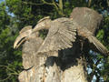 Beeldnr : 58 van 169
Naam : apij_b59.jpg
Folder : fotos/jaren-201x/2016-2/avifauna/10-sep/
Formaat : 900 x 675px
Thumb : 120 x 90px
Richting : Landschap
Bloknr : 2 van 4
Beeldnrs : 51 tm 100
Beelden in blok : 50