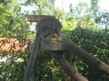Beeldnr : 112 van 169
Naam : apij_c39.jpg
Folder : fotos/jaren-201x/2016-2/avifauna/10-sep/
Formaat : 900 x 675px
Thumb : 120 x 90px
Richting : Landschap
Bloknr : 3 van 4
Beeldnrs : 101 tm 150
Beelden in blok : 50