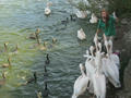 Beeldnr : 127 van 169
Naam : apij_c65.jpg
Folder : fotos/jaren-201x/2016-2/avifauna/10-sep/
Formaat : 900 x 675px
Thumb : 120 x 90px
Richting : Landschap
Bloknr : 3 van 4
Beeldnrs : 101 tm 150
Beelden in blok : 50
