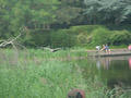 Beeldnr : 156 van 169
Naam : apij_c99.jpg
Folder : fotos/jaren-201x/2016-2/avifauna/10-sep/
Formaat : 900 x 675px
Thumb : 120 x 90px
Richting : Landschap
Bloknr : 4 van 4
Beeldnrs : 151 tm 169
Beelden in blok : 19
