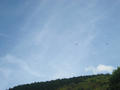 Beeldnr : 10 van 54
Naam : apib_a43.jpg
Folder : fotos/jaren-201x/2016-2/oberhambach/2-sep/
Formaat : 900 x 675px
Thumb : 120 x 90px
Richting : Landschap
Bloknr : 1 van 2
Beeldnrs : 1 tm 50
Beelden in blok : 50