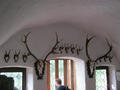 Beeldnr : 100 van 121
Naam : aphu_b29.jpg
Folder : fotos/jaren-201x/2016-2/oberhambach/21-aug/
Formaat : 900 x 675px
Thumb : 120 x 90px
Richting : Landschap
Bloknr : 2 van 3
Beeldnrs : 51 tm 100
Beelden in blok : 50