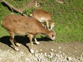 Beeldnr : 11 van 79
Naam : aphw_b07.jpg
Folder : fotos/jaren-201x/2016-2/oberhambach/23-aug/
Formaat : 900 x 675px
Thumb : 120 x 90px
Richting : Landschap
Bloknr : 1 van 2
Beeldnrs : 1 tm 50
Beelden in blok : 50