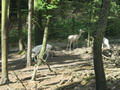 Beeldnr : 26 van 177
Naam : aphcza95.jpg
Folder : fotos/jaren-201x/2016-2/oberhambach/29-aug/
Formaat : 900 x 675px
Thumb : 120 x 90px
Richting : Landschap
Bloknr : 1 van 4
Beeldnrs : 1 tm 50
Beelden in blok : 50