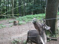Beeldnr : 42 van 177
Naam : aphczb11.jpg
Folder : fotos/jaren-201x/2016-2/oberhambach/29-aug/
Formaat : 900 x 675px
Thumb : 120 x 90px
Richting : Landschap
Bloknr : 1 van 4
Beeldnrs : 1 tm 50
Beelden in blok : 50