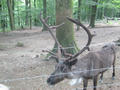 Beeldnr : 45 van 177
Naam : aphczb14.jpg
Folder : fotos/jaren-201x/2016-2/oberhambach/29-aug/
Formaat : 900 x 675px
Thumb : 120 x 90px
Richting : Landschap
Bloknr : 1 van 4
Beeldnrs : 1 tm 50
Beelden in blok : 50