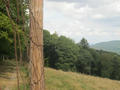 Beeldnr : 67 van 177
Naam : aphczb36.jpg
Folder : fotos/jaren-201x/2016-2/oberhambach/29-aug/
Formaat : 900 x 675px
Thumb : 120 x 90px
Richting : Landschap
Bloknr : 2 van 4
Beeldnrs : 51 tm 100
Beelden in blok : 50