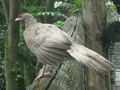 Beeldnr : 1 van 4
Naam : jh7p1359.jpg
Folder : fotos/jaren-201x/2017-2/weerterbergen/25-juli/
Formaat : 1200 x 900px
Thumb : 120 x 90px
Richting : Landschap
Bloknr : 1 van 1
Beeldnrs : 1 tm 4
Beelden in blok : 4