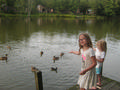 Beeldnr : 4 van 4
Naam : jh7q1471.jpg
Folder : fotos/jaren-201x/2017-2/weerterbergen/26-juli/
Formaat : 1200 x 900px
Thumb : 120 x 90px
Richting : Landschap
Bloknr : 1 van 1
Beeldnrs : 1 tm 4
Beelden in blok : 4