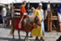 Beeldnr : 16 van 191
Naam : ji5l0023.jpg
Folder : fotos/jaren-201x/2018-2/kasteel-amersoyen/21-mei/
Formaat : 1200 x 800px
Thumb : 120 x 80px
Richting : Landschap
Bloknr : 1 van 4
Beeldnrs : 1 tm 50
Beelden in blok : 50