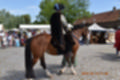 Beeldnr : 23 van 191
Naam : ji5l0031.jpg
Folder : fotos/jaren-201x/2018-2/kasteel-amersoyen/21-mei/
Formaat : 1200 x 800px
Thumb : 120 x 80px
Richting : Landschap
Bloknr : 1 van 4
Beeldnrs : 1 tm 50
Beelden in blok : 50