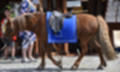 Beeldnr : 26 van 191
Naam : ji5l0036.jpg
Folder : fotos/jaren-201x/2018-2/kasteel-amersoyen/21-mei/
Formaat : 1500 x 900px
Thumb : 120 x 72px
Richting : Landschap
Bloknr : 1 van 4
Beeldnrs : 1 tm 50
Beelden in blok : 50