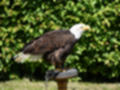 Beeldnr : 99 van 191
Naam : ji5l0126.jpg
Folder : fotos/jaren-201x/2018-2/kasteel-amersoyen/21-mei/
Formaat : 1200 x 900px
Thumb : 120 x 90px
Richting : Landschap
Bloknr : 2 van 4
Beeldnrs : 51 tm 100
Beelden in blok : 50