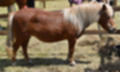 Beeldnr : 113 van 191
Naam : ji5l0143.jpg
Folder : fotos/jaren-201x/2018-2/kasteel-amersoyen/21-mei/
Formaat : 1500 x 900px
Thumb : 120 x 72px
Richting : Landschap
Bloknr : 3 van 4
Beeldnrs : 101 tm 150
Beelden in blok : 50