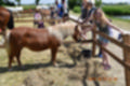 Beeldnr : 114 van 191
Naam : ji5l0145.jpg
Folder : fotos/jaren-201x/2018-2/kasteel-amersoyen/21-mei/
Formaat : 1200 x 800px
Thumb : 120 x 80px
Richting : Landschap
Bloknr : 3 van 4
Beeldnrs : 101 tm 150
Beelden in blok : 50