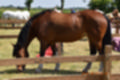 Beeldnr : 115 van 191
Naam : ji5l0148.jpg
Folder : fotos/jaren-201x/2018-2/kasteel-amersoyen/21-mei/
Formaat : 1200 x 800px
Thumb : 120 x 80px
Richting : Landschap
Bloknr : 3 van 4
Beeldnrs : 101 tm 150
Beelden in blok : 50