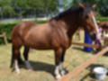 Beeldnr : 118 van 191
Naam : ji5l0152.jpg
Folder : fotos/jaren-201x/2018-2/kasteel-amersoyen/21-mei/
Formaat : 1200 x 900px
Thumb : 120 x 90px
Richting : Landschap
Bloknr : 3 van 4
Beeldnrs : 101 tm 150
Beelden in blok : 50