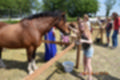 Beeldnr : 119 van 191
Naam : ji5l0153.jpg
Folder : fotos/jaren-201x/2018-2/kasteel-amersoyen/21-mei/
Formaat : 1200 x 800px
Thumb : 120 x 80px
Richting : Landschap
Bloknr : 3 van 4
Beeldnrs : 101 tm 150
Beelden in blok : 50