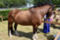 Beeldnr : 120 van 191
Naam : ji5l0156.jpg
Folder : fotos/jaren-201x/2018-2/kasteel-amersoyen/21-mei/
Formaat : 1350 x 900px
Thumb : 120 x 80px
Richting : Landschap
Bloknr : 3 van 4
Beeldnrs : 101 tm 150
Beelden in blok : 50