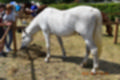 Beeldnr : 122 van 191
Naam : ji5l0158.jpg
Folder : fotos/jaren-201x/2018-2/kasteel-amersoyen/21-mei/
Formaat : 1200 x 800px
Thumb : 120 x 80px
Richting : Landschap
Bloknr : 3 van 4
Beeldnrs : 101 tm 150
Beelden in blok : 50