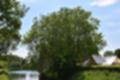Beeldnr : 126 van 191
Naam : ji5l0166.jpg
Folder : fotos/jaren-201x/2018-2/kasteel-amersoyen/21-mei/
Formaat : 1350 x 900px
Thumb : 120 x 80px
Richting : Landschap
Bloknr : 3 van 4
Beeldnrs : 101 tm 150
Beelden in blok : 50
