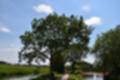 Beeldnr : 128 van 191
Naam : ji5l0168.jpg
Folder : fotos/jaren-201x/2018-2/kasteel-amersoyen/21-mei/
Formaat : 1200 x 800px
Thumb : 120 x 80px
Richting : Landschap
Bloknr : 3 van 4
Beeldnrs : 101 tm 150
Beelden in blok : 50