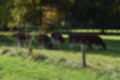 Beeldnr : 5 van 75
Naam : jiae1993.jpg
Folder : fotos/jaren-201x/2018-2/kasteel-hernen/14-okt/
Formaat : 1200 x 800px
Thumb : 120 x 80px
Richting : Landschap
Bloknr : 1 van 2
Beeldnrs : 1 tm 50
Beelden in blok : 50
