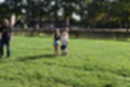 Beeldnr : 55 van 75
Naam : jiae2069.jpg
Folder : fotos/jaren-201x/2018-2/kasteel-hernen/14-okt/
Formaat : 1200 x 800px
Thumb : 120 x 80px
Richting : Landschap
Bloknr : 2 van 2
Beeldnrs : 51 tm 75
Beelden in blok : 25