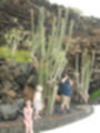 Beeldnr : 21 van 186
Naam : ai7b2039.jpg
Folder : fotos/jaren-201x/2018-2/lanzarote/11-juli/
Formaat : 900 x 1200px
Thumb : 90 x 120px
Richting : Portret
Bloknr : 1 van 4
Beeldnrs : 1 tm 50
Beelden in blok : 50