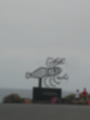 Beeldnr : 27 van 186
Naam : ai7b2046.jpg
Folder : fotos/jaren-201x/2018-2/lanzarote/11-juli/
Formaat : 900 x 1200px
Thumb : 90 x 120px
Richting : Portret
Bloknr : 1 van 4
Beeldnrs : 1 tm 50
Beelden in blok : 50