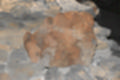 Beeldnr : 65 van 186
Naam : ji7b0312.jpg
Folder : fotos/jaren-201x/2018-2/lanzarote/11-juli/
Formaat : 1200 x 800px
Thumb : 120 x 80px
Richting : Landschap
Bloknr : 2 van 4
Beeldnrs : 51 tm 100
Beelden in blok : 50