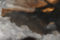 Beeldnr : 73 van 186
Naam : ji7b0321.jpg
Folder : fotos/jaren-201x/2018-2/lanzarote/11-juli/
Formaat : 1200 x 800px
Thumb : 120 x 80px
Richting : Landschap
Bloknr : 2 van 4
Beeldnrs : 51 tm 100
Beelden in blok : 50